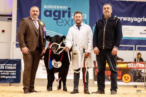 Supreme Champion Baby Beef Agri Expo 2023