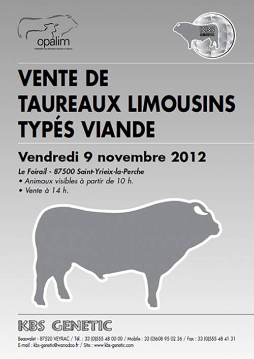 Vente De Taureaux Limousins Types Viande