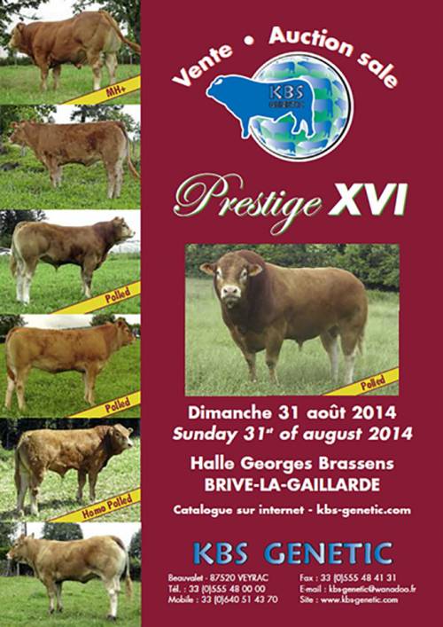 PRESTIGE XVI Sale at Brive, France 31st of August