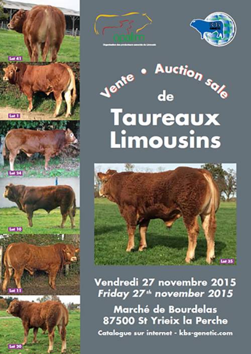 Vente Taureaux Limousins 27th November 2015