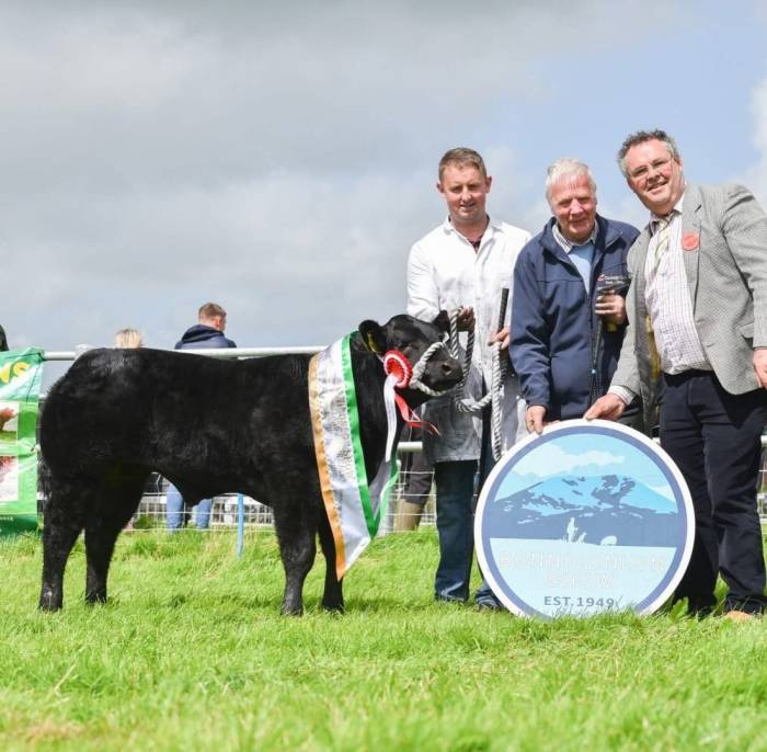 Sire of the 2025 Junior All Ireland Calf Champion