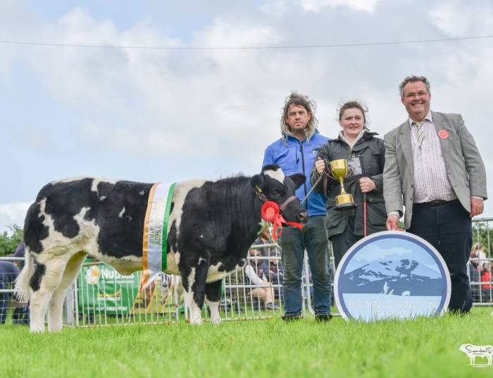 Champion BB Heifer Calf Sired by Hong Wang