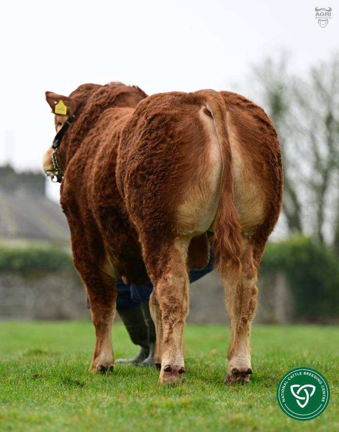 Pictured at 13 months old