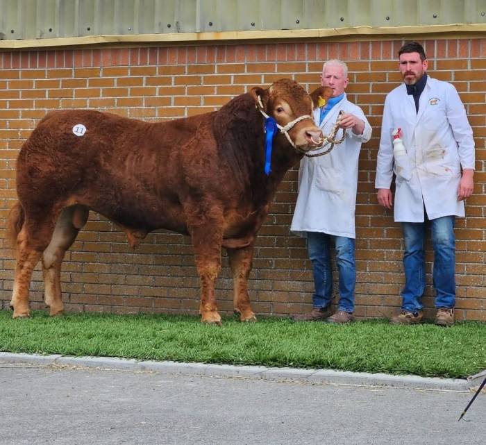 Son Rutland Unforgettable sold for €11,000