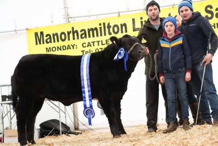 Ardlea Rigby sired crossbred heifer calf