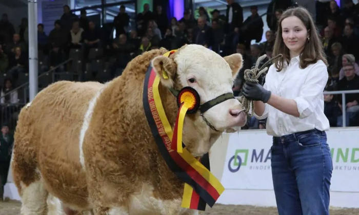 Son Sold for €16,000 in Germany