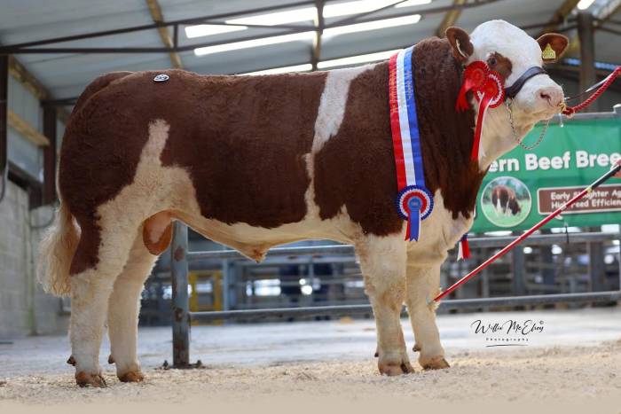 Ardtarmon Troy P