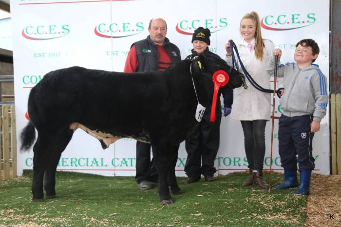 Champion Male Calf under 500 kg