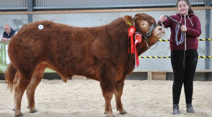 Sheehills Jumbo
