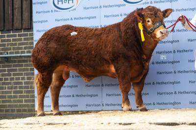Whitehall Larry Sons sell for 23,000 and 16,000