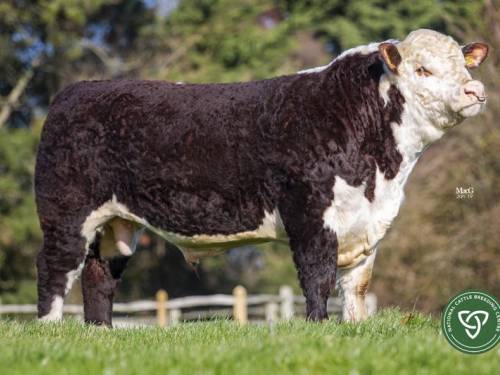 Fisher 1 Profile P456