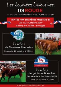 Sale of 60 Limousin Bulls - Limoges 20/10/2019