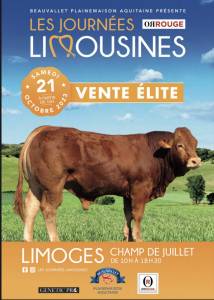 Elite Sale of 59 Limousin Cattle at Limoges, France