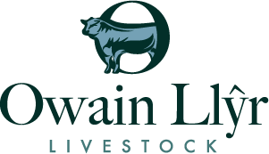 Owain Llyr Livestock